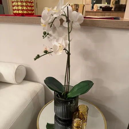 Sea View Penthouse شقة ابزور