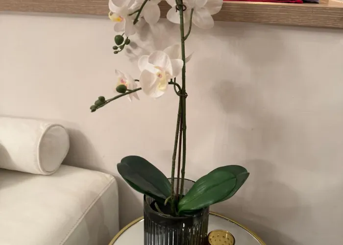 Sea View Penthouse Lägenhet Obzor